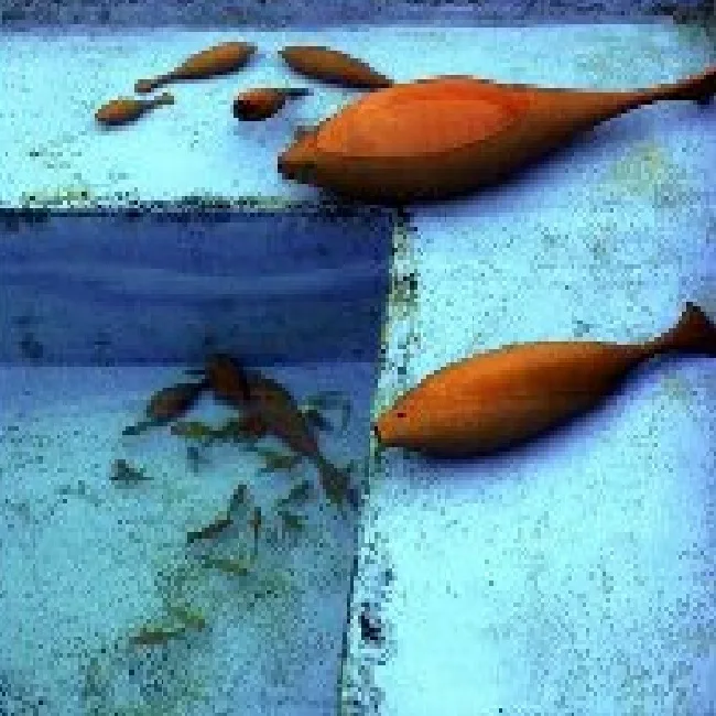 Abbas Akbari, The Fish in Attarha's House — ceramic work