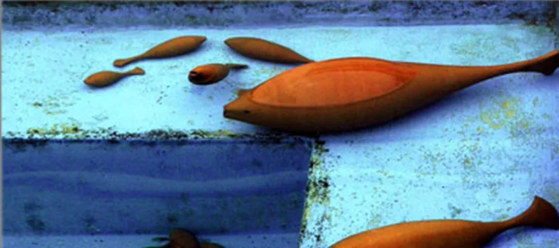 Abbas Akbari, The Fish in Attarha's House — view 13