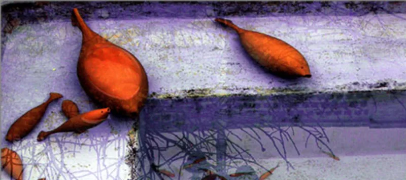 Abbas Akbari, The Fish in Attarha's House — view 15